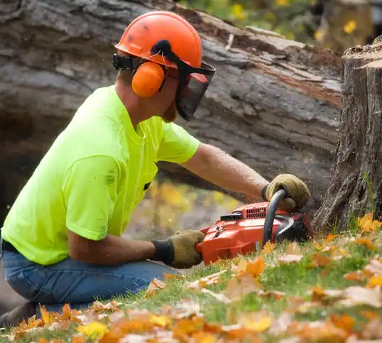 tree services Oakbrook